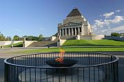 Shrine of Remembrance 外的聖火