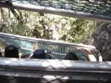  Scenic World Train (10 秒)