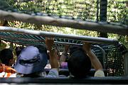 Scenic World Train