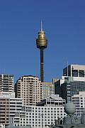 Sydney Tower 的照片